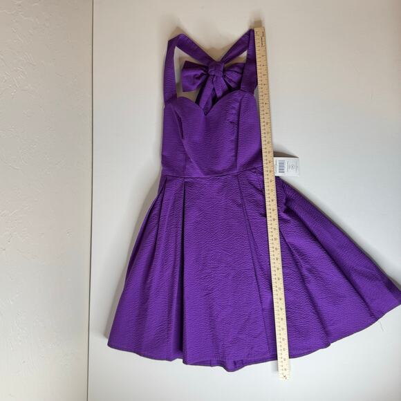 NWT Lauren James Livingston Purple Dress Sz XS TCU Seersucker Preppy Back Bow - Picture 11 of 13